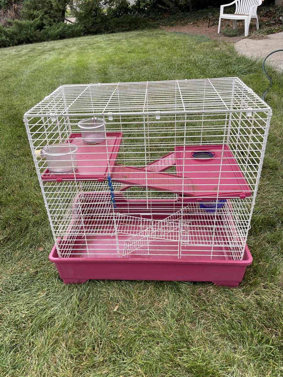 Ferret cage