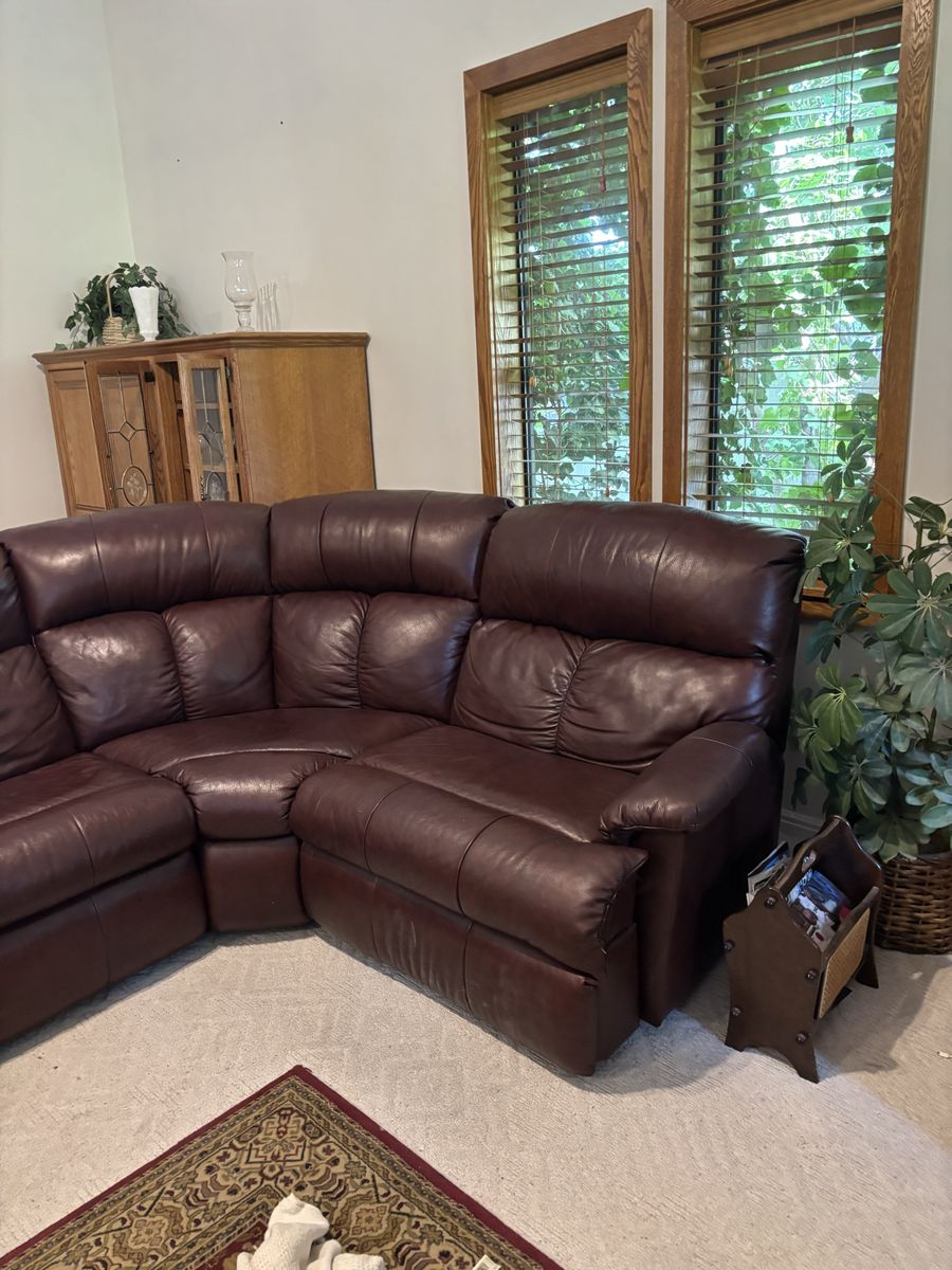Mahogany faux leather coach
