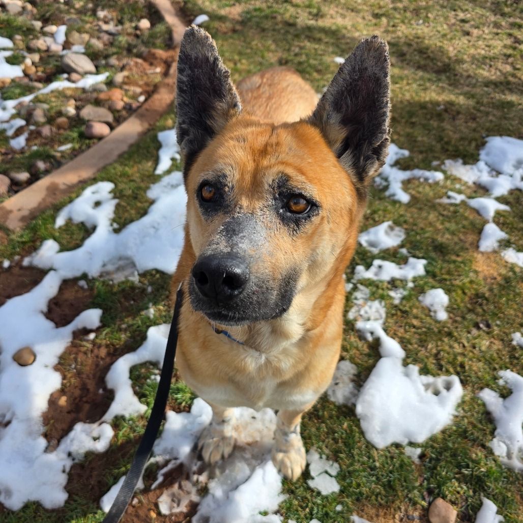 Hello my name is Lupita