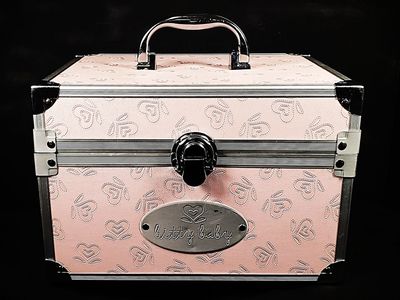 Bitty Baby Pink Doll Trunk American Girl Accessory Vintage Accent Box Makeup Craft or Memory Box