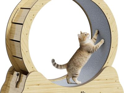 NEW Cat Exercise Wheel, Quiet 34" Cat Treadmill for Indoor Cats, Running Wheel with Carpeted Runway & Safety Lock