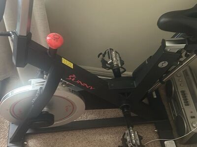 Sunny Exercise Bike