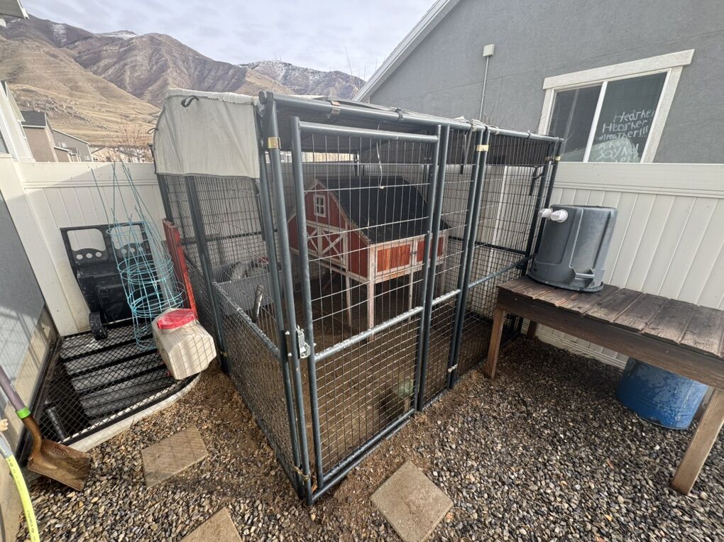 Dog Run / chicken Run