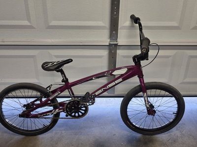 Intense Pro XL bmx bike