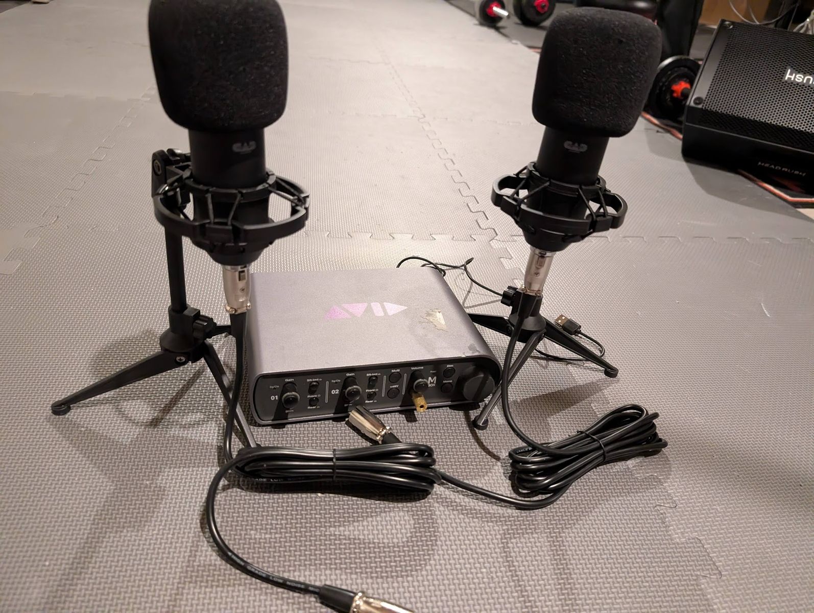 Beginner recording/streaming/podcasting setup! One or two mics!