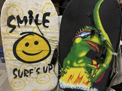 Set of 2 Fun Graphic Boogie Boards - Smiley Face and Green Lizard Design