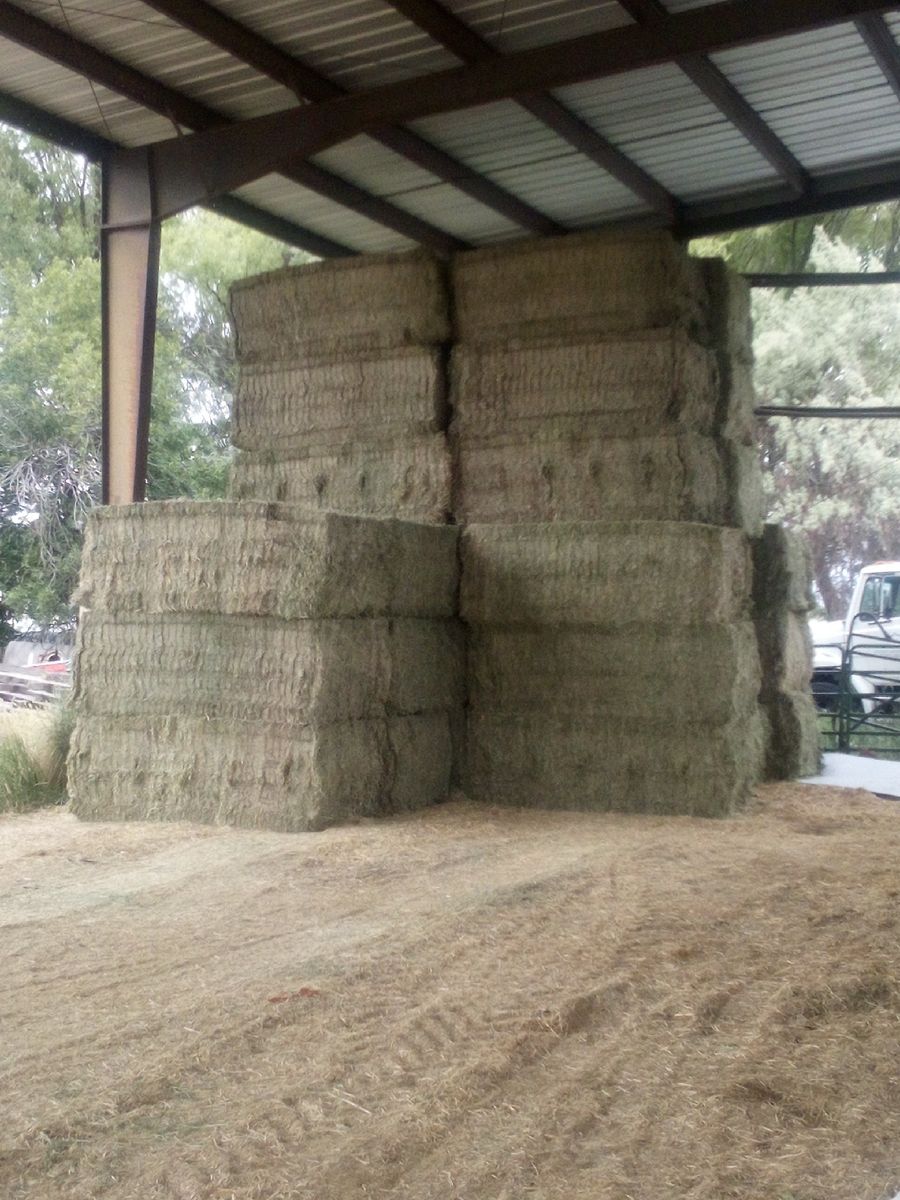 3x4 alfalfa  $300 ton