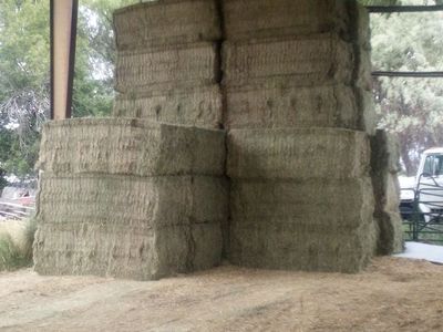 3x4 alfalfa $300 ton