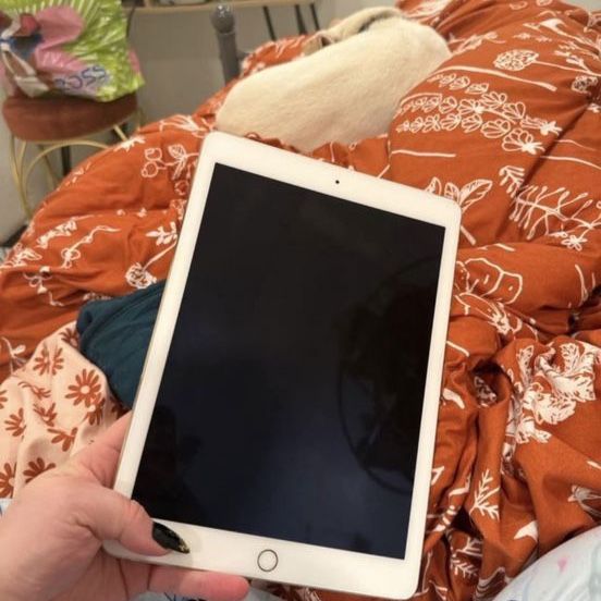 Apple iPad Air 2