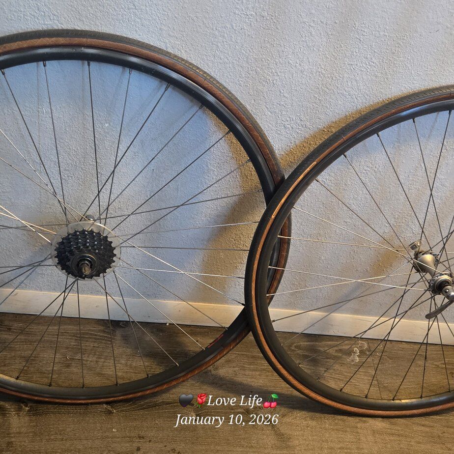 Bike Rims Vintage