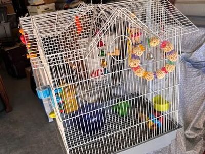Bird cage