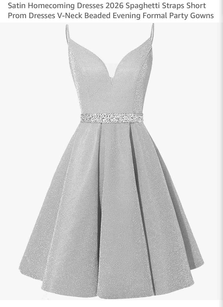 Quinceñera/Wedding/Formal Dress