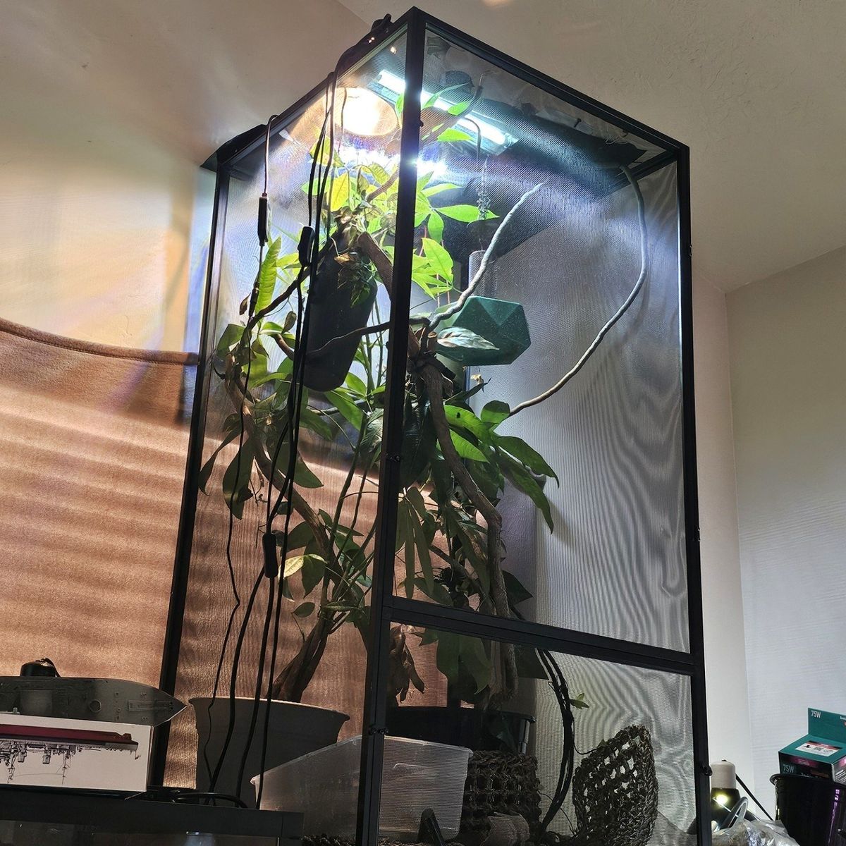 XL Reptibreeze enclosure 2x2x4