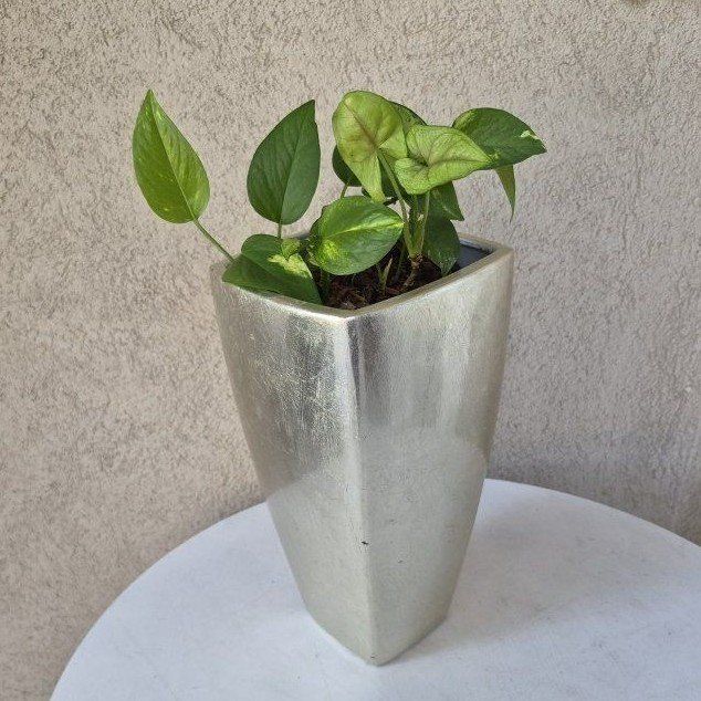 Silver Planter with Live Pothos Plant - Modern Home Decor