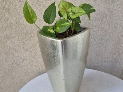 Silver Planter with Live Pothos Plant - Modern Home Decor