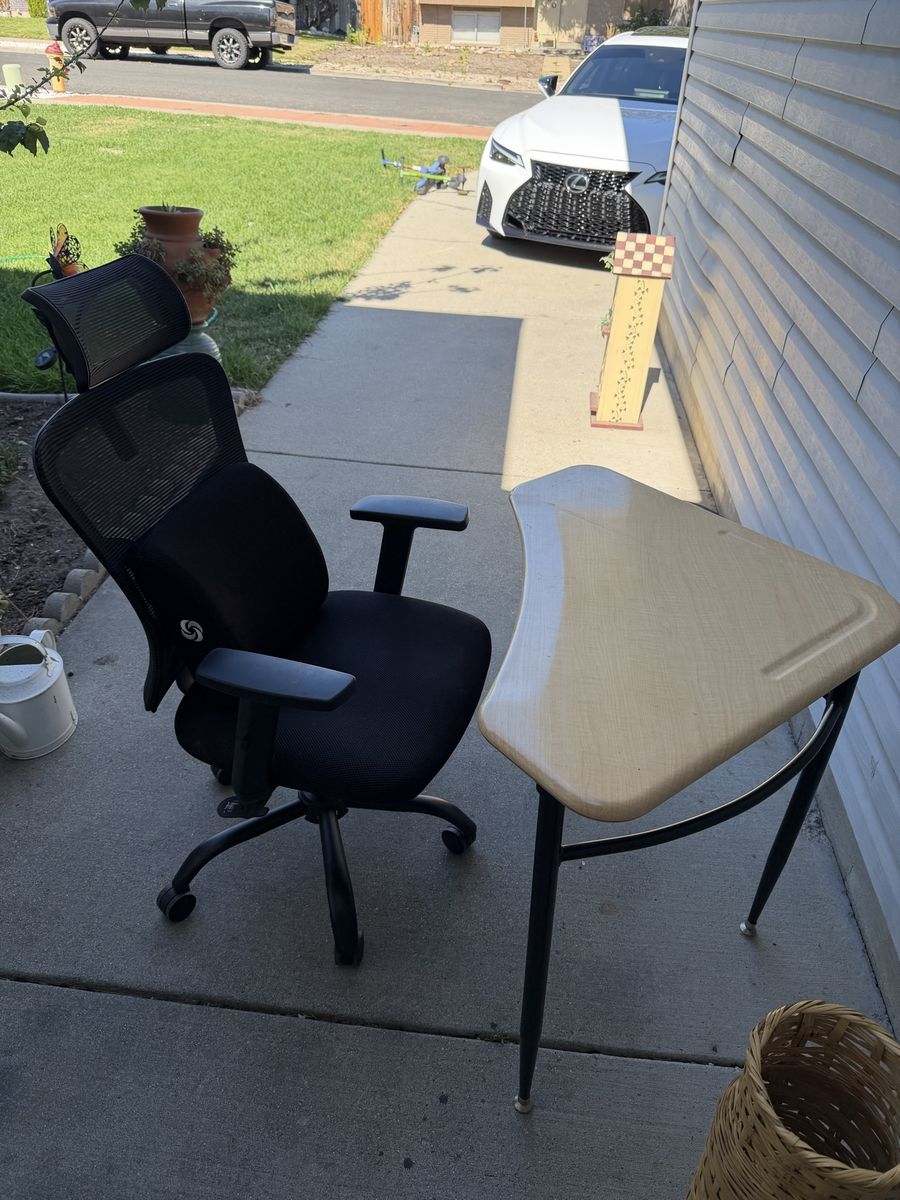 Black Ergonomic Mesh Office Chair with Lumbar Support and Headrest