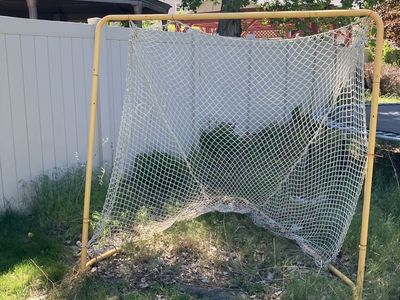 Lacrosse Net