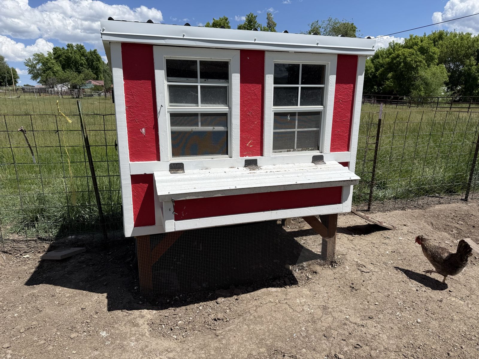 Chicken coop