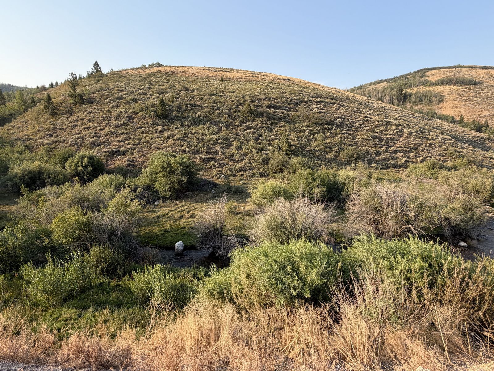 Main image 3