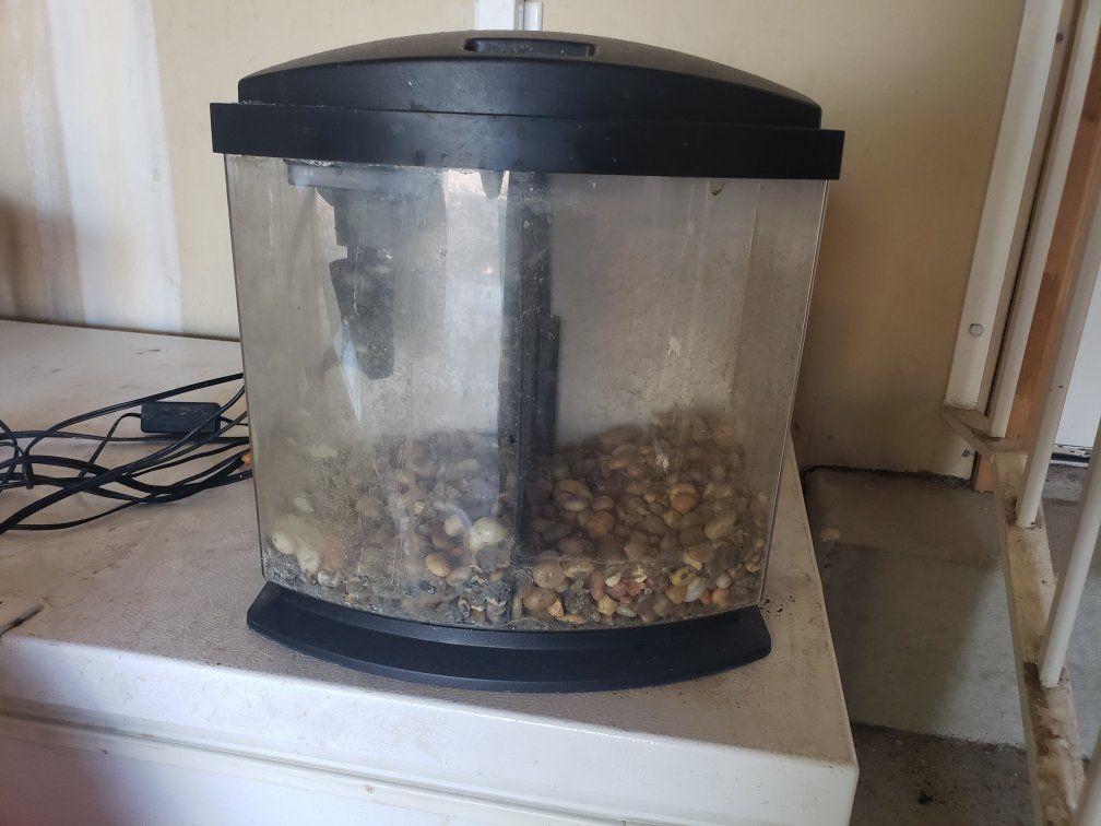 2.5 gallon Betta tank