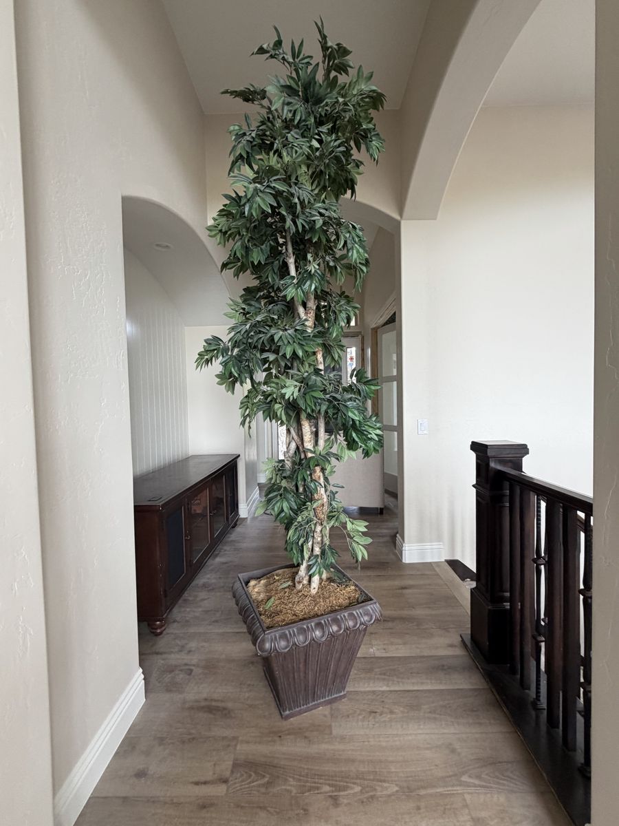 Large Artificial Ficus Tree in Decorative Planter - Realistic Indoor/Outdoor Decor