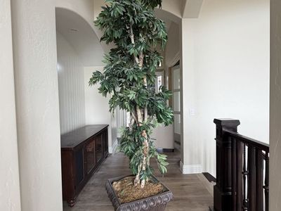 Large Artificial Ficus Tree in Decorative Planter - Realistic Indoor/Outdoor Decor