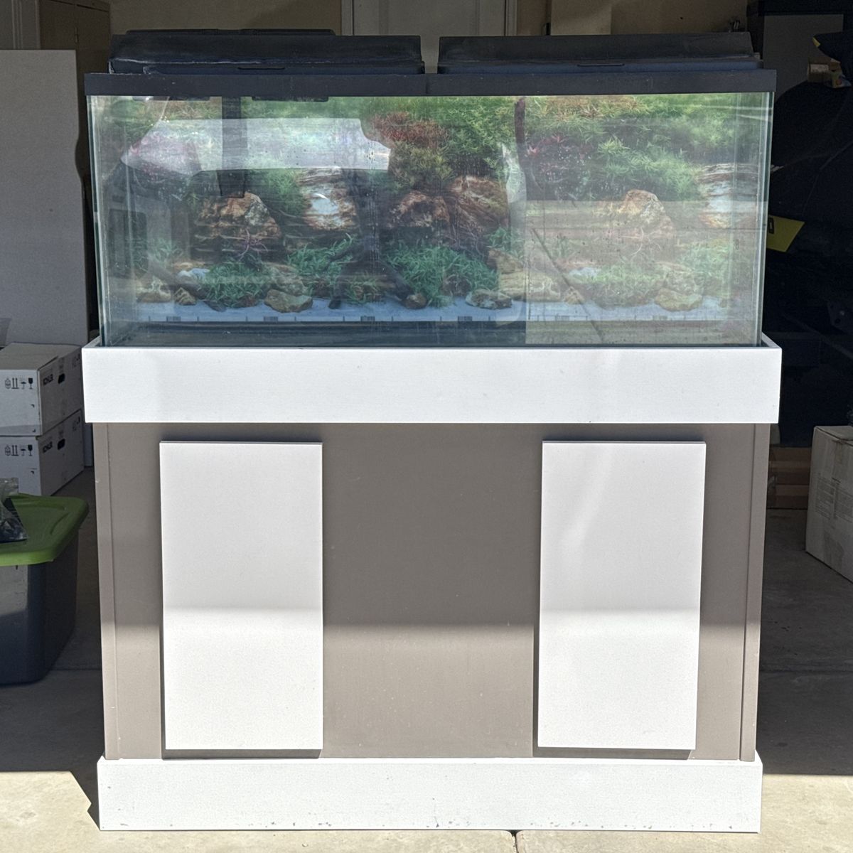 55 Gallon Aquarium w/ Stand