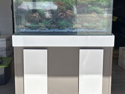 55 Gallon Aquarium w/ Stand