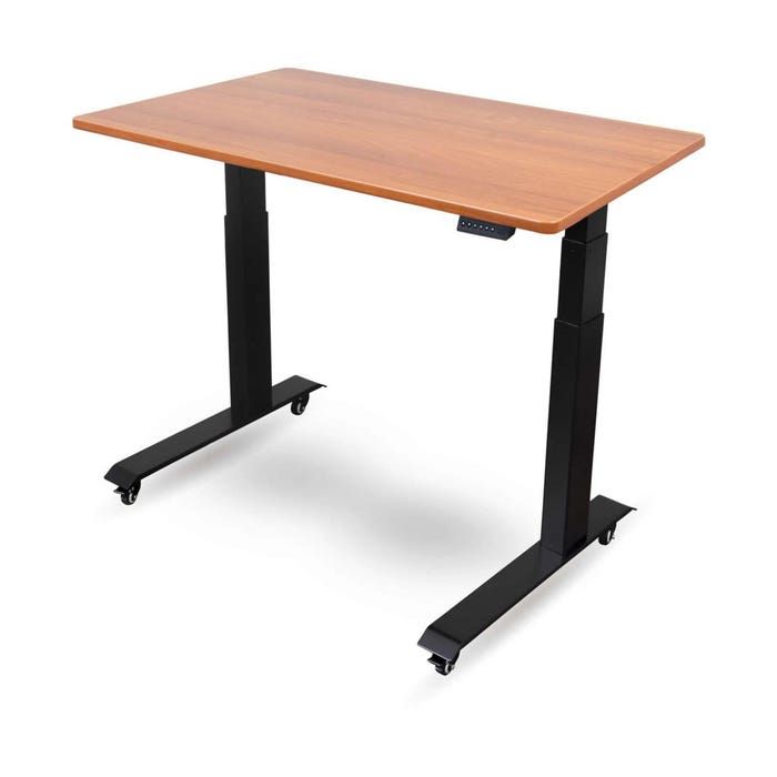 Electric Standing Desk with Programmable Memory