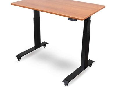 Electric Standing Desk with Programmable Memory