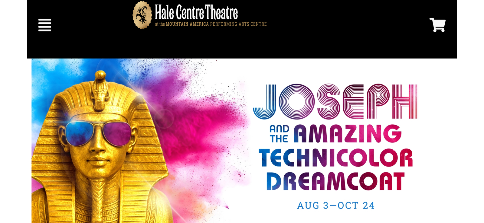 1 Theater ticket to Joseph and the Amazing Technicolor Dreamcoat