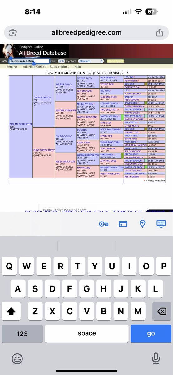 Main image 2