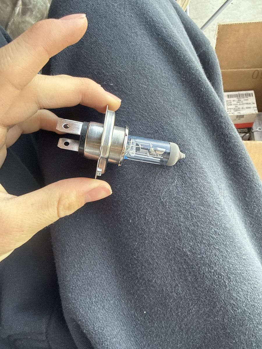 24v 75/6 Bulb
