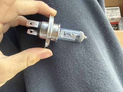 24v 75/6 Bulb