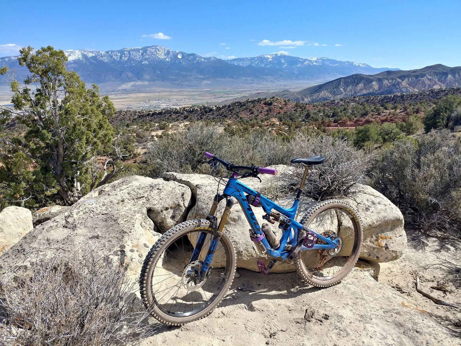 Pivot Mach 5.5 Carbon Medium