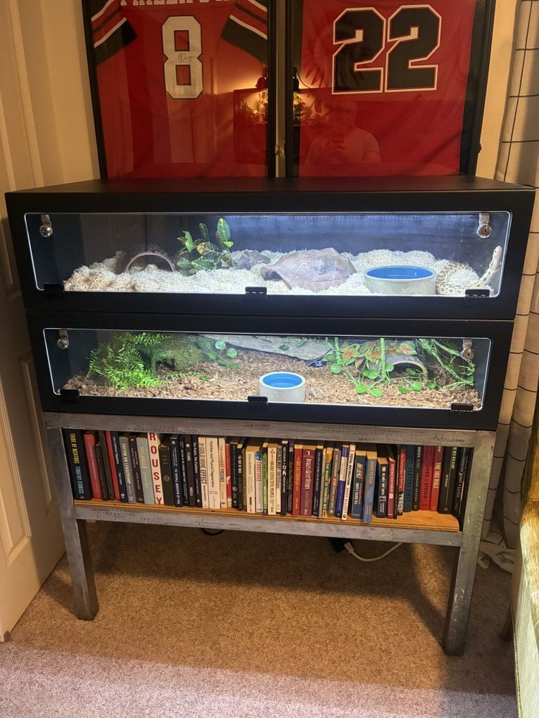 Two 55 Gallon Enclosures With snakes