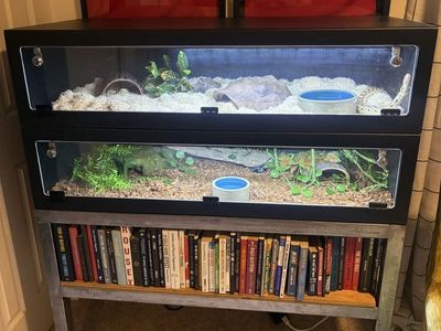 Two 55 Gallon Enclosures With snakes
