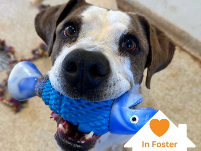 Hello my name is Richard