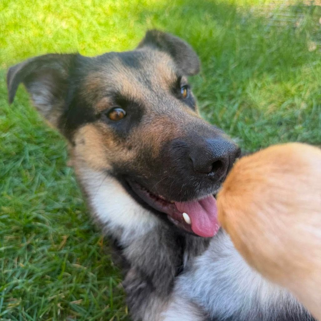 Hello my name is Axel