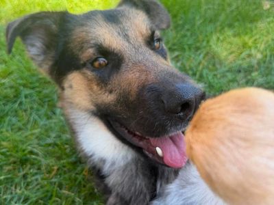 Hello my name is Axel