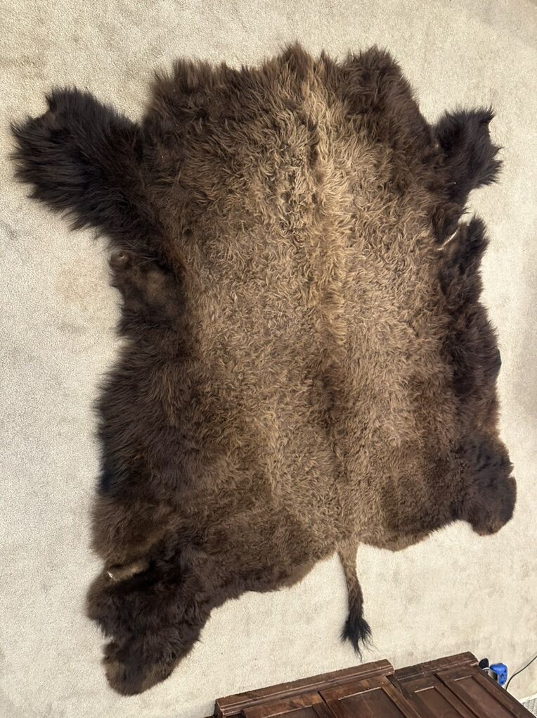 Bison Hide
