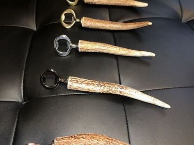 Antler bottle opener