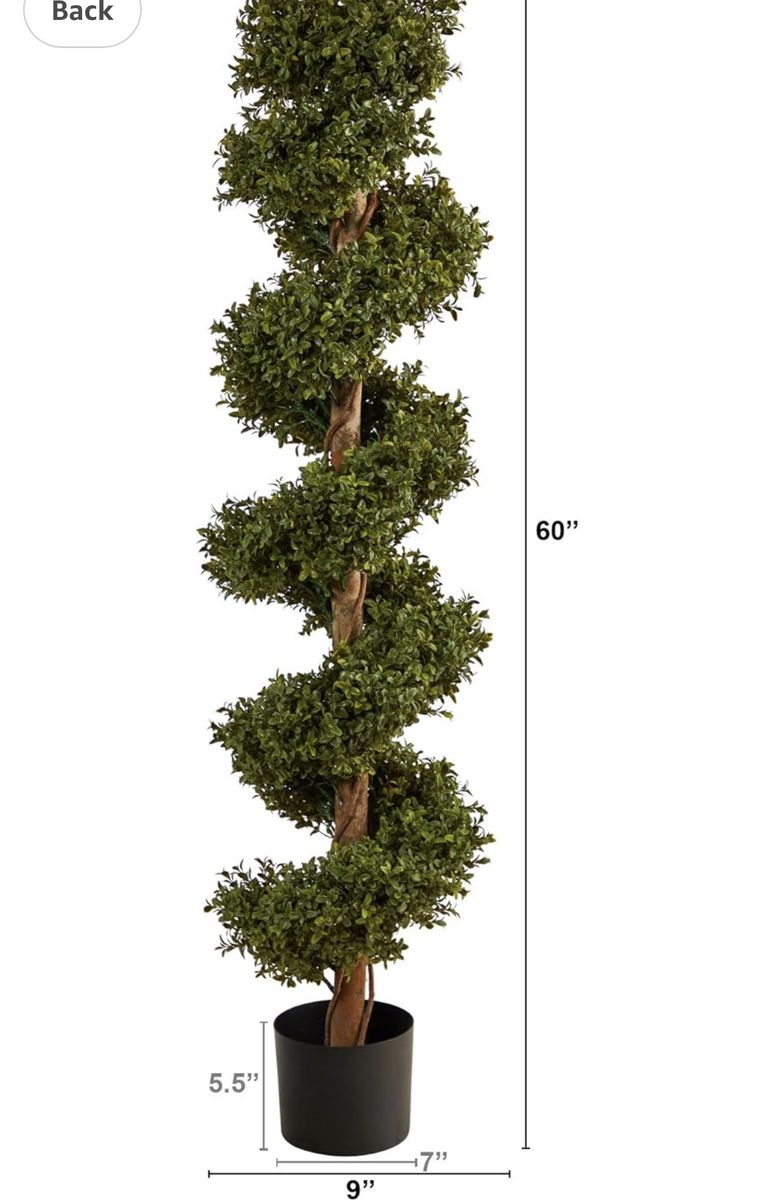 Main image 2