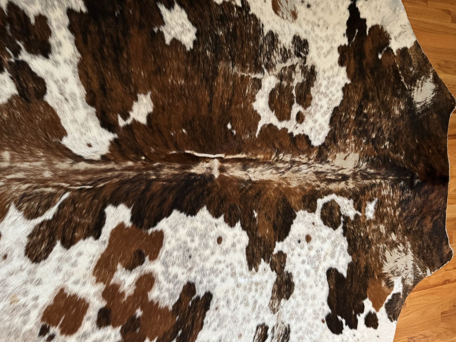 Main image 2