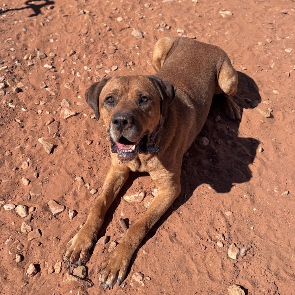 Hello my name is Rev