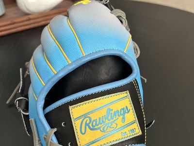 Rawlings Heart of The Hide Glove