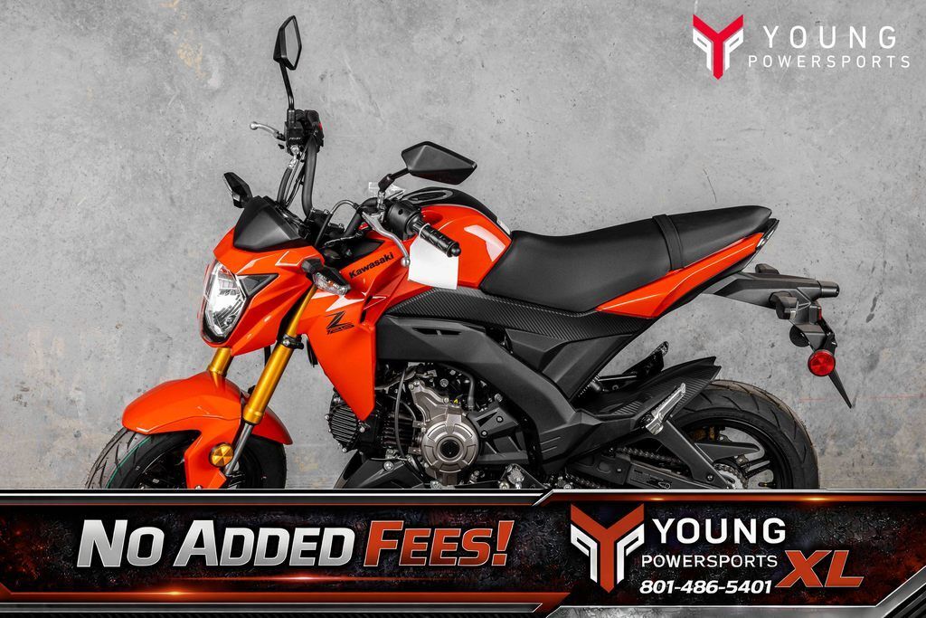 2025 Kawasaki Z125 PRO