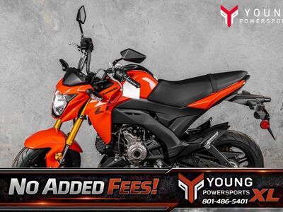 2025 Kawasaki Z125 PRO