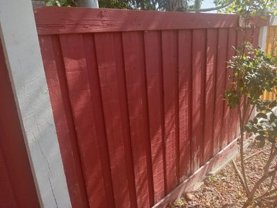 Red cedar 5.5 inch wide board on fence $3/ board (can deliver)