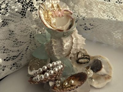 Seashell Jewelry Holder